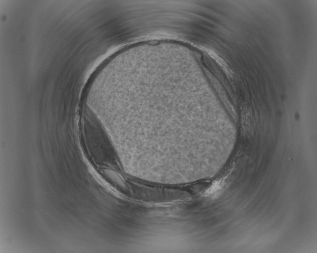 X0000067841134200605111636