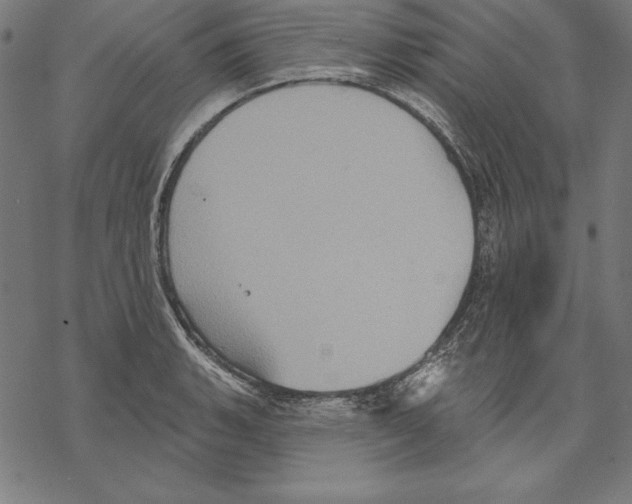 X0000067841135200605111636