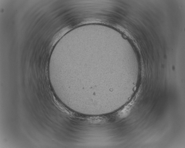 X0000067841137200605111636