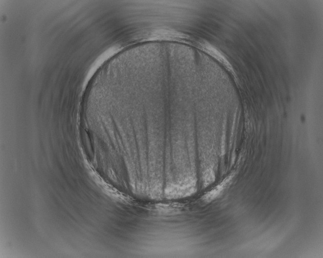 X0000067841138200605111636