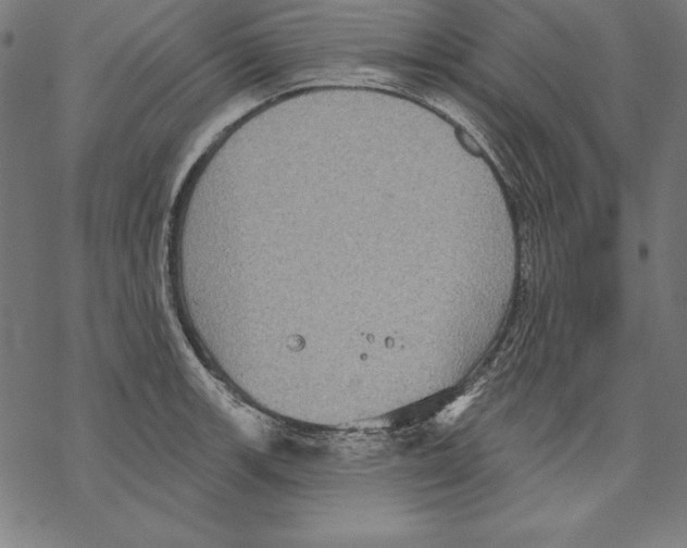 X0000067841139200605111636