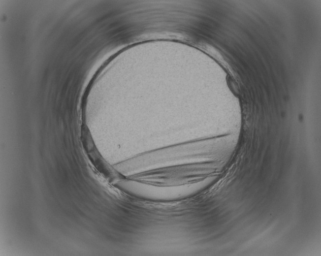 X0000067841140200605111636