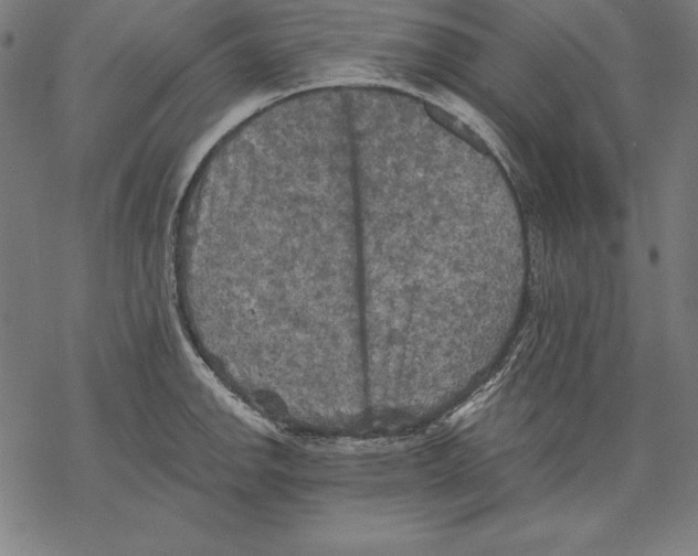 X0000067841142200605111636