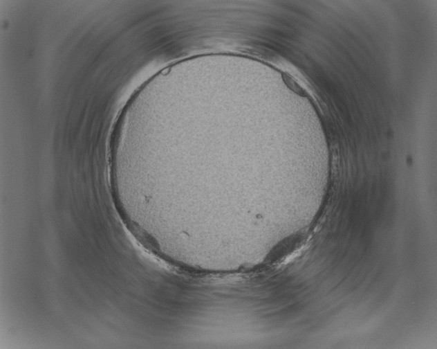 X0000067841143200605111636