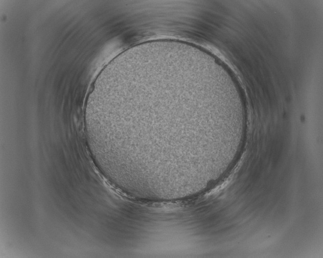 X0000067841145200605111636