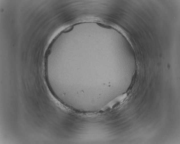 X0000067841147200605111636