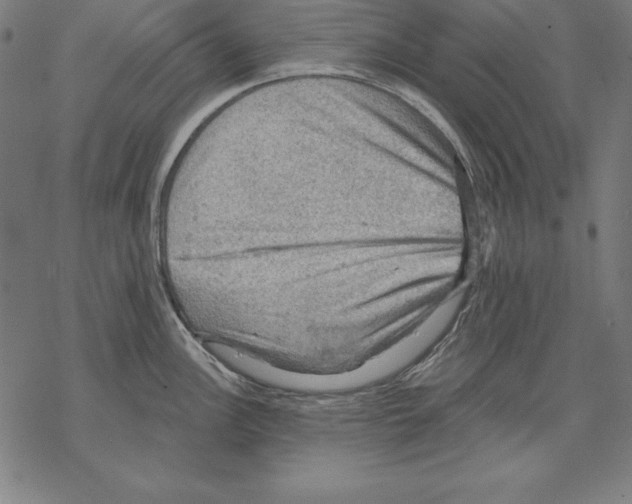 X0000067841148200605111636