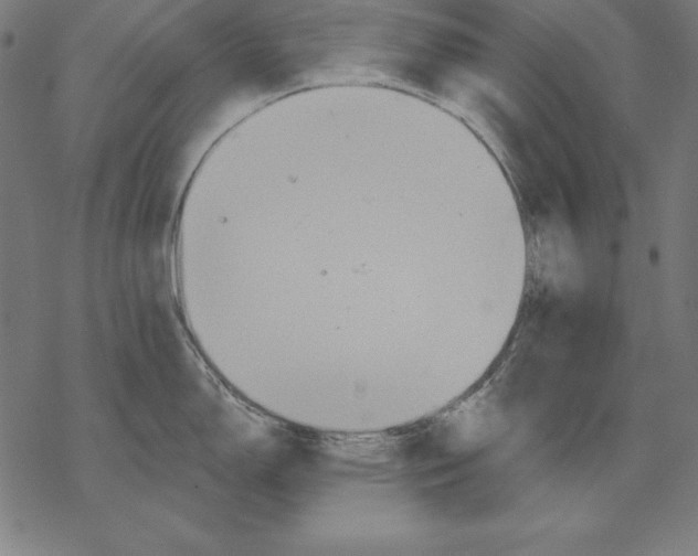 X0000067841150200605111636