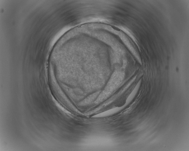 X0000067841151200605111636