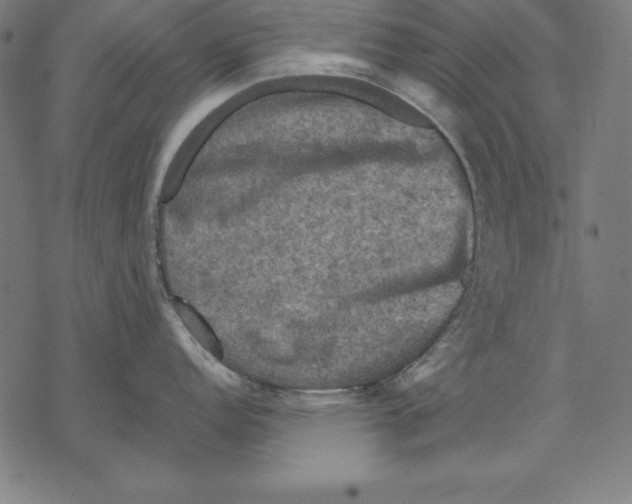 X0000067841152200605111636