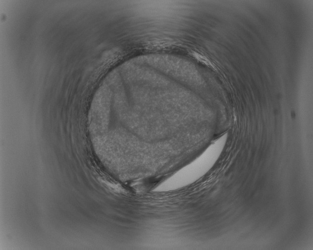 X0000067841153200605111635