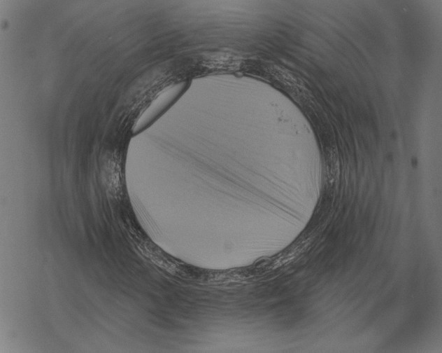 X0000067841154200605111635