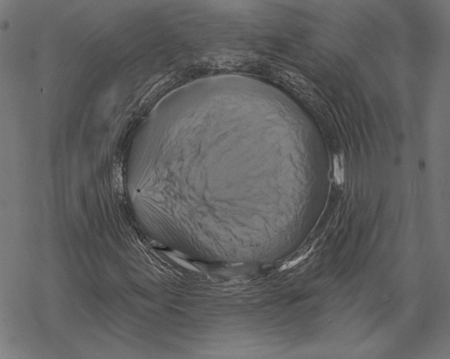 X0000067841155200605111635