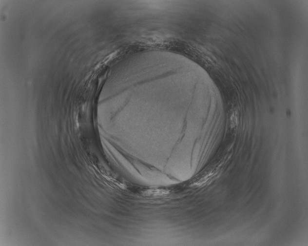 X0000067841156200605111635