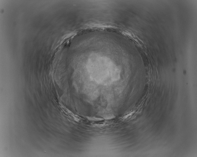 X0000067841157200605111635