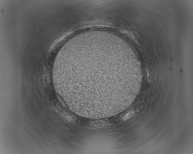 X0000067841159200605111635