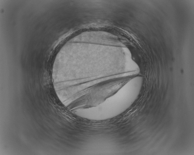 X0000067841160200605111635