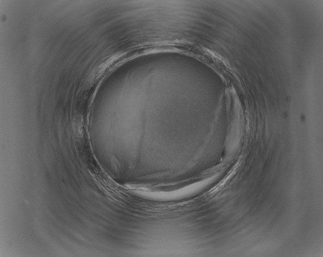 X0000067841161200605111635