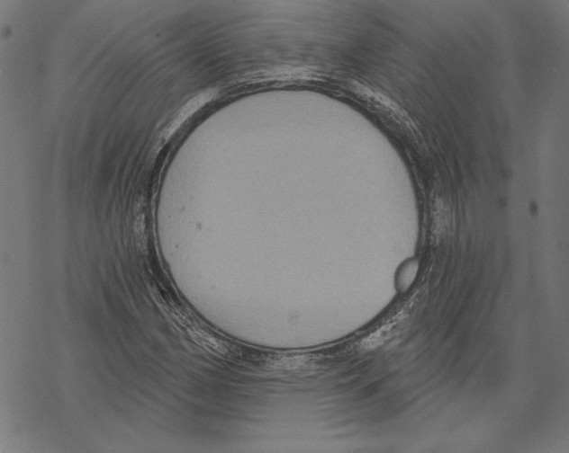 X0000067841162200605111635