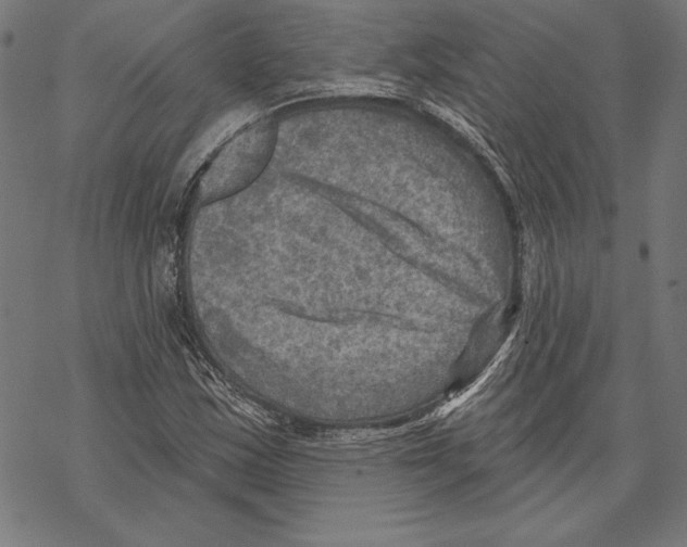 X0000067841163200605111635