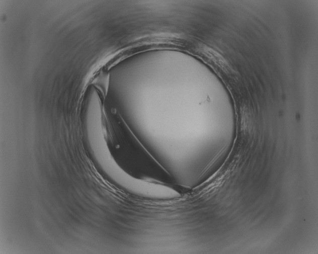 X0000067841164200605111635