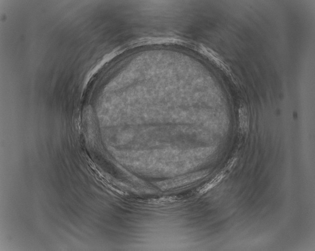 X0000067841165200605111635