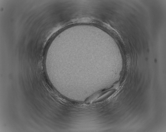 X0000067841166200605111635