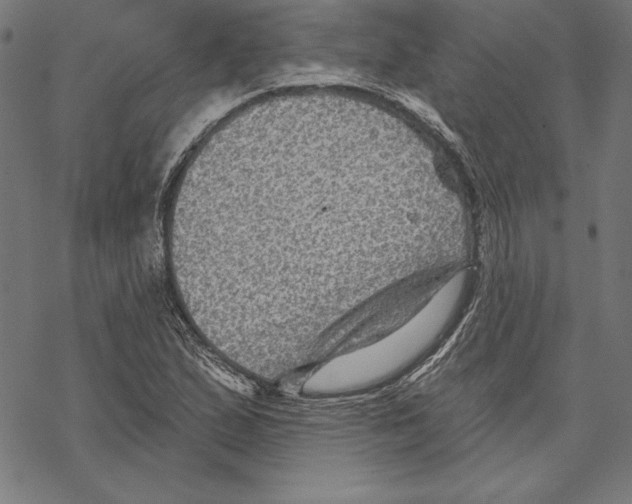 X0000067841167200605111635