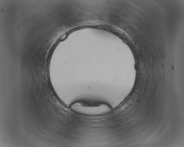 X0000067841168200605111635