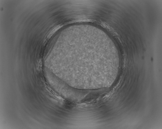 X0000067841169200605111635