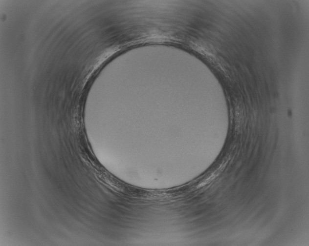 X0000067841170200605111635