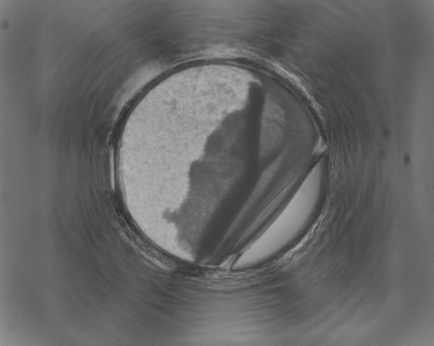 X0000067841171200605111635