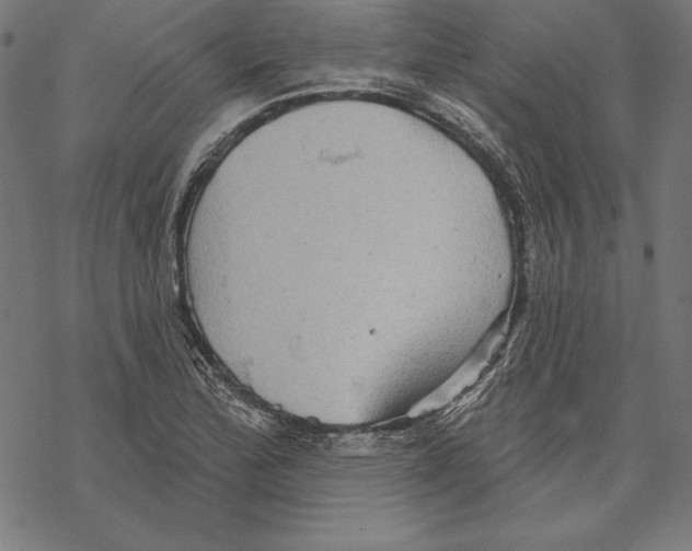 X0000067841172200605111635