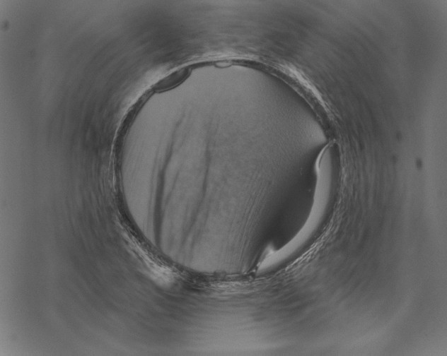 X0000067841173200605111635