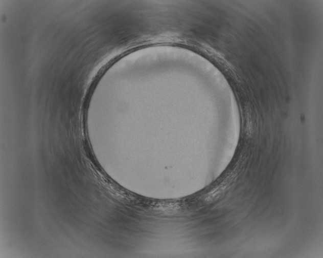 X0000067841174200605111635