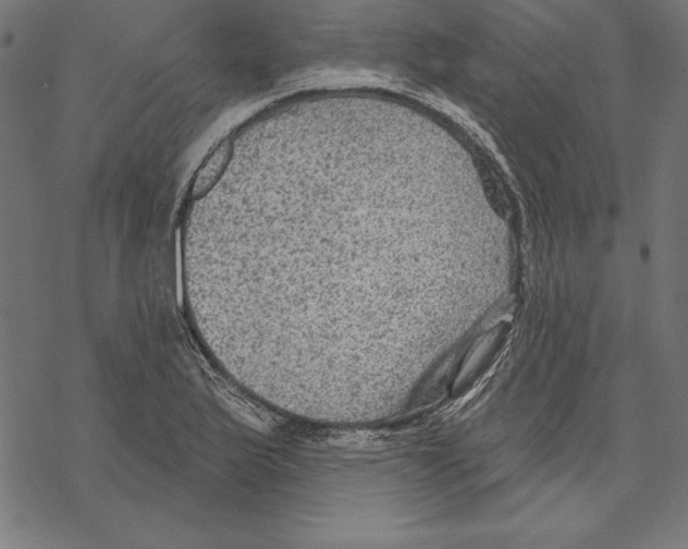 X0000067841175200605111635