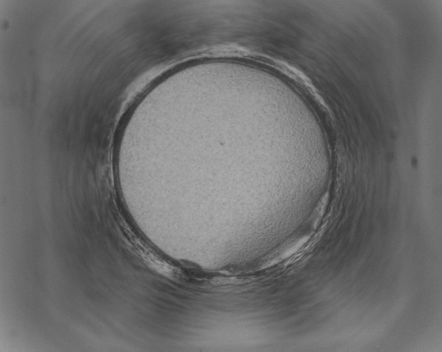 X0000067841176200605111635