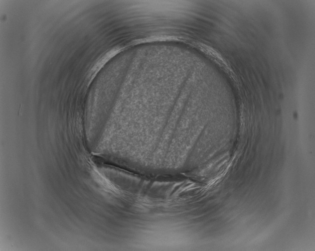 X0000067841177200605111635