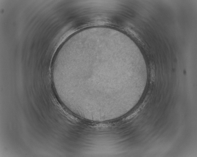 X0000067841178200605111635