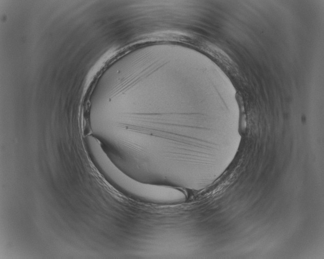 X0000067841180200605111635