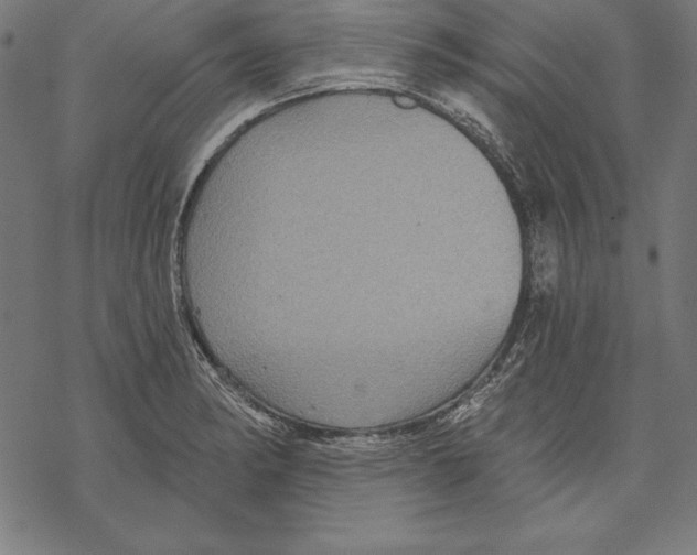 X0000067841182200605111635