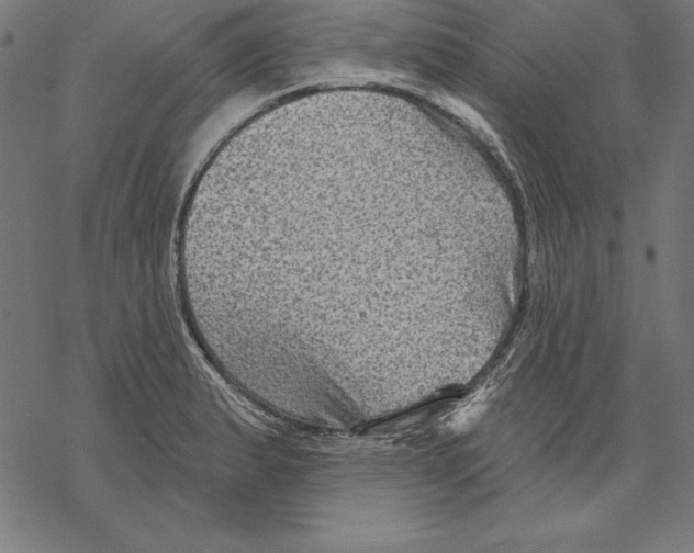 X0000067841183200605111635