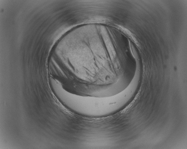 X0000067841184200605111635