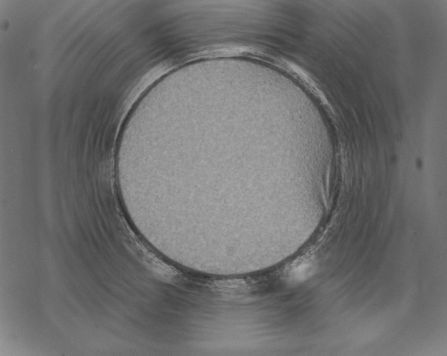 X0000067841186200605111635