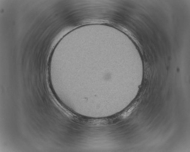 X0000067841187200605111635