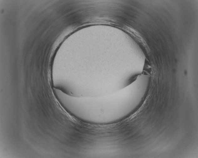 X0000067841188200605111635