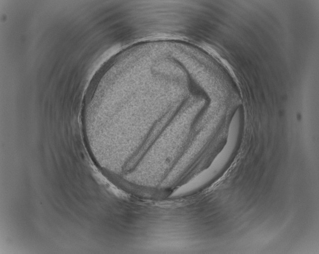 X0000067841189200605111635