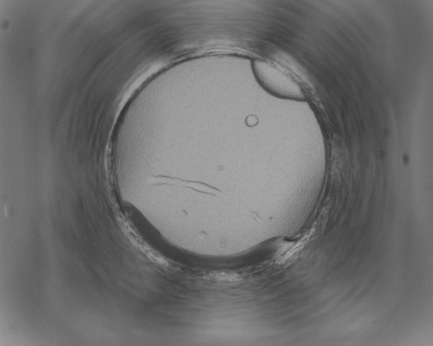 X0000067841190200605111635