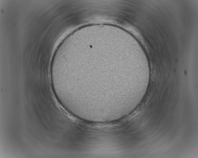 X0000067841191200605111635