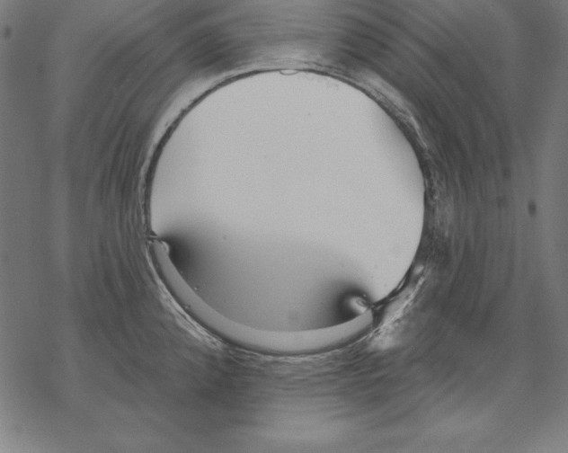 X0000067841192200605111635